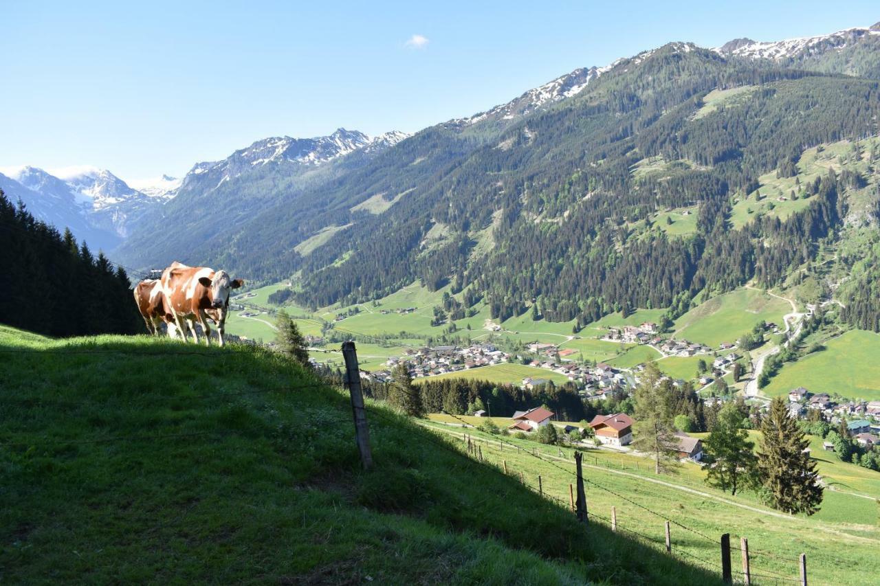 Vorderstuhlhof Lägenhet Kleinarl Exteriör bild